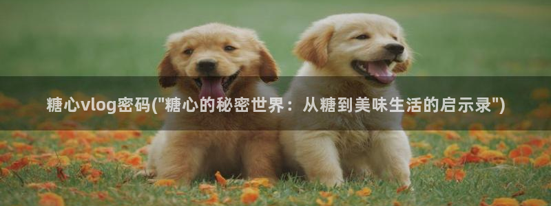 糖心vlog糖糖醬:糖心vlog密碼(\